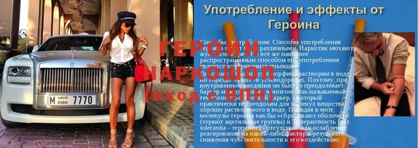 сатива Аркадак