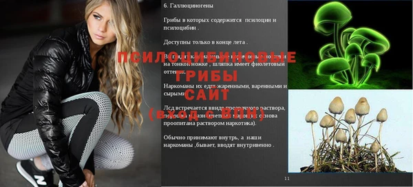 скорость Алексеевка